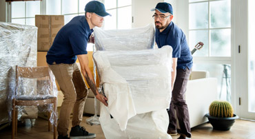 Furniture Removalists auckland