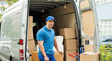 Man With A Van Auckland